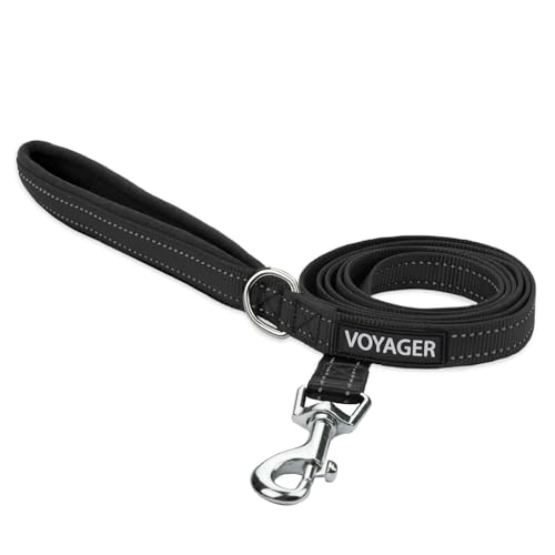Best Pet Supplies Voyager Reflective Dog Leash or Collar with Neoprene Handle, for Small, Medium, and Large Breed Puppies, Cute and Heavy Duty for Walking, Running and Training - Black (Leash), S - color: Leash (Black), size: Small (5/8" x 5ft)