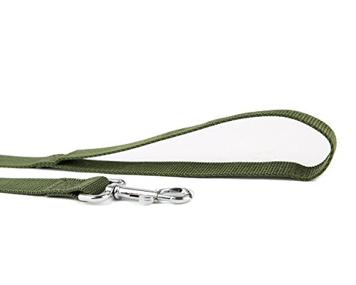Nylon Dog Training Leash, Traction Rope, 4/5/6 Feet Long, 3/4 Inch 1 Inch Wide, for Small and Medium Dogs (1'' x 4 FT, Green) - color: Green, size: 1'' x 4 FT