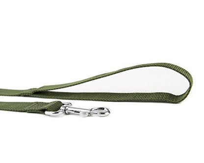 Nylon Dog Training Leash, Traction Rope, 4/5/6 Feet Long, 3/4 Inch 1 Inch Wide, for Small and Medium Dogs (1'' x 4 FT, Green) - color: Green, size: 1'' x 4 FT