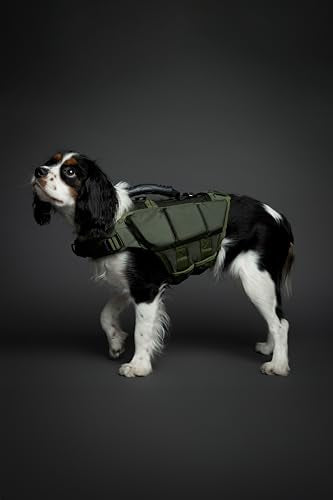NOAH & PAW Dog Life Jacket, Human Standards Lifejacket Design, Dog Life Vest for Swimming and Boating, 3X Foam Support for Max Floating, Breathable Mesh, Salvavidas para Perros, Size M - size: M