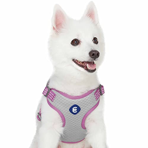 Blueberry Pet Essentials Back to Basics Reflective Dog Harness Vest, Mauve Orchid, Medium, Adjustable Harnesses for Dogs - color: Mauve Orchid, size: Medium (Pack of 1)