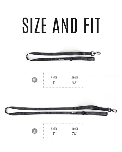 Fei & Eve Classic Dog Leash - 4FT, Dual Padded Handles, 360° Swivel Hook, Heavy Duty 210D Nylon - No-Pull Design with Traffic Control Handle - for Small/Medium/Large Dogs, Black - color: Black, size: 4FT