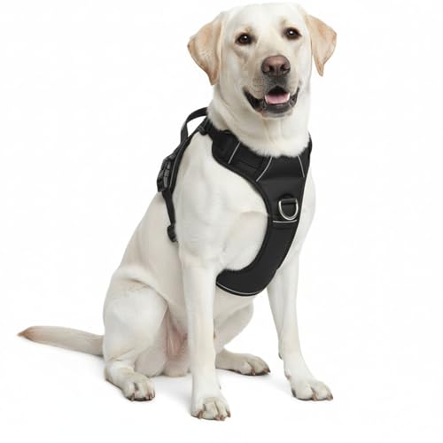 No Pull Dog Harness with 2 Leash Clips, Adjustable Soft Padded Reflective Oxford Pet Vest with Easy Control Handle for Large Dogs (Black, Large) - color: Black, size: Large