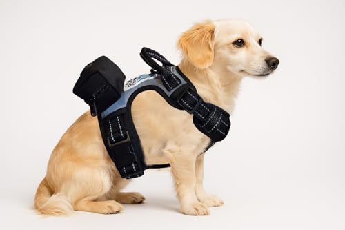 5-in-1 Reflective Dog Harness with Built-in 5ft Leash & Seatbelt Clip, Waste-Bag Pouch + 3 Rolls, Adjustable Quick-Fit Buckles, Breathable Mesh, Dual D-Rings, Small - size: Small