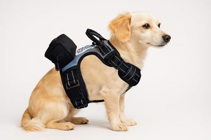 5-in-1 Reflective Dog Harness with Built-in 5ft Leash & Seatbelt Clip, Waste-Bag Pouch + 3 Rolls, Adjustable Quick-Fit Buckles, Breathable Mesh, Dual D-Rings, Small - size: Small
