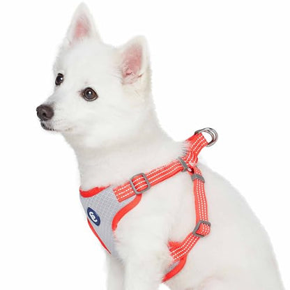 Blueberry Pet Essentials Back to Basics Reflective Dog Harness Vest, Fiery Red, Small, Adjustable Harnesses for Dogs - color: Fiery Red, size: Small (Pack of 1)