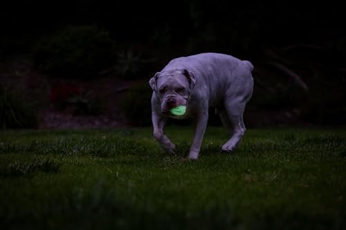 Chuckit! Air Glow Fetch Ball Dog Toy, Medium (2.5 Inch) Pack of 2, for Breeds 20-60 lbs - size: Medium