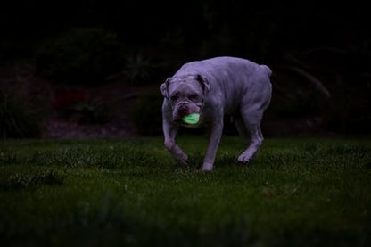 Chuckit! Air Glow Fetch Ball Dog Toy, Medium (2.5 Inch) Pack of 2, for Breeds 20-60 lbs - size: Medium
