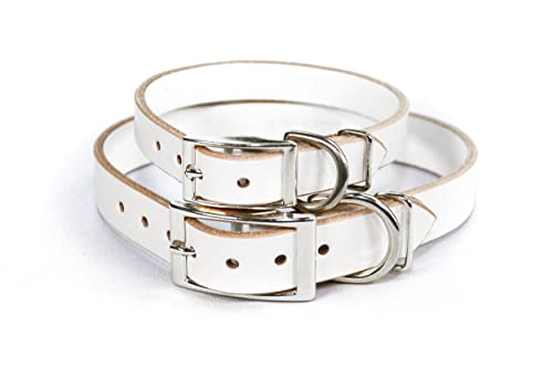 Handmade Studded Bridle Leather Dog Collar, Silver Tone Hardware and Stainless Steel Nameplate (White) - color: White