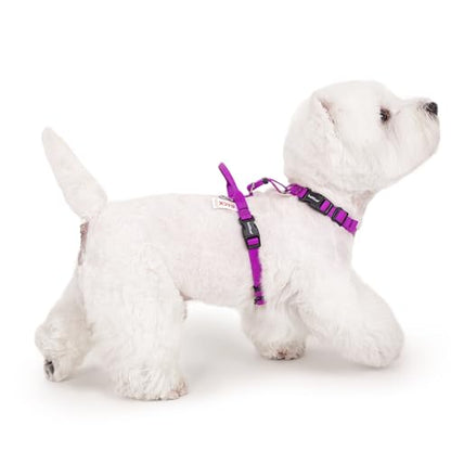 Non Restrictive No Pull Dog Harness, Neck Buckle Desgin, Lightweight Easy Walk Freedom Harness, Keep Balance, Sewn-in Instructions Labels for Easy Use, Small Dogs Chest(17-23inches) Purple - color: Purple, size: S