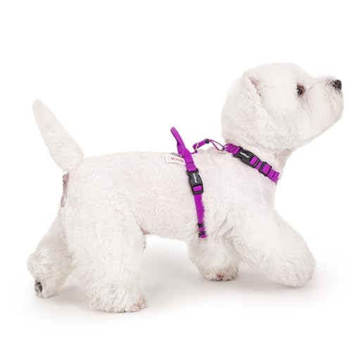 Non Restrictive No Pull Dog Harness, Neck Buckle Desgin, Lightweight Easy Walk Freedom Harness, Keep Balance, Sewn-in Instructions Labels for Easy Use, Small Dogs Chest(17-23inches) Purple - color: Purple, size: S