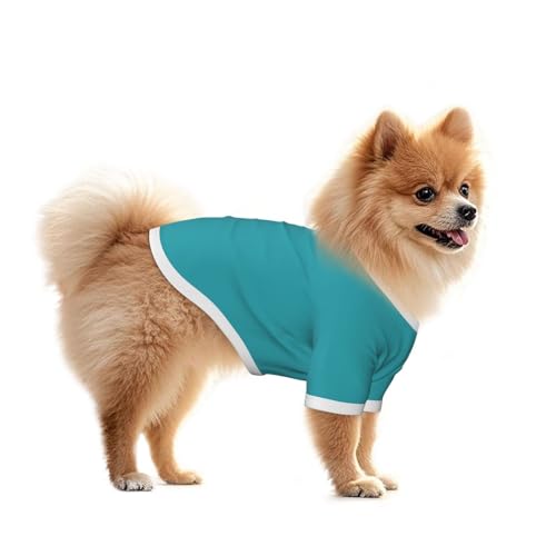 SWEET TANG Dog Lightweight T-Shirt Cyan, Cool Breathable Stretchy Small Dog Shirts, Soft Pet Shirts for Puppy Kitty Cats, Small - color: Pattern (111), size: Small