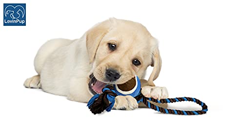 Dog Rope Toy with Tennis Ball (11”) – Strong Tug Toys for Dogs for Interactive Play & Bonding – Non-Abrasive Felt Dog Tennis Balls w/Rope for Puppies & Moderate Chewers – 3-Pack Red - size: 3 set Rope Dog Toy Red Ball