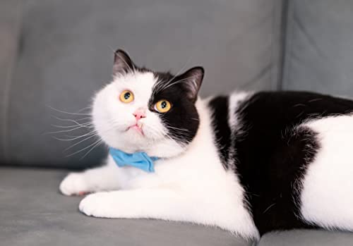 Cat Collar Breakaway Bowtie Safety with Bell Adjustbale Kitten Puppy Solid Plaid Color Set J-[2pcs] Blue - color: J-[2pcs] Blue