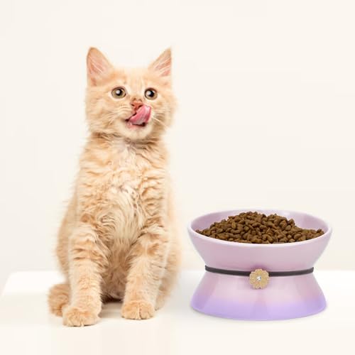 Cute Ceramic Tilted Food Bowls for Indoor Cats Cat Bowl Elevated Cat Bowls Whisker Friendly 6.1 Inch Wide 15° Raised Kitten Supplies Dishwasher and Microwave Safe Purple Cats Water Bowl - color: Purple Ceramic Elevated Cat Bowl
