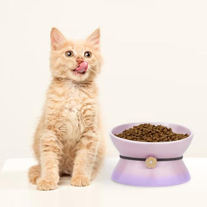 Cute Ceramic Tilted Food Bowls for Indoor Cats Cat Bowl Elevated Cat Bowls Whisker Friendly 6.1 Inch Wide 15° Raised Kitten Supplies Dishwasher and Microwave Safe Purple Cats Water Bowl - color: Purple Ceramic Elevated Cat Bowl
