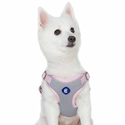 Blueberry Pet Essentials Back to Basics Reflective Dog Harness Vest, Candy Pink, Medium, Adjustable Harnesses for Dogs - color: Candy Pink, size: Medium (Pack of 1)