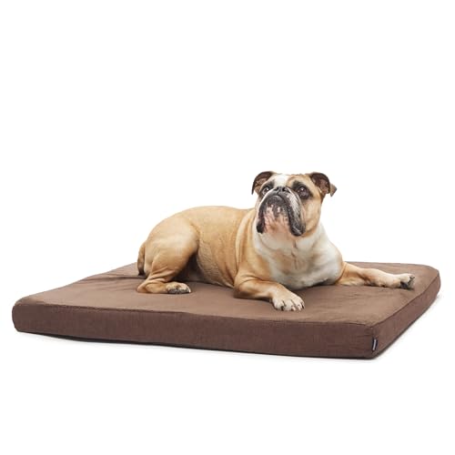 Barkbox Orthopedic Dog Bed with Memory Foam, Premium Comfort for Dogs and Puppies, Dog Bed for Joint Relief and Restful Sleep, Durable and Easy to Clean - Espresso, Medium - color: Espresso, size: Medium