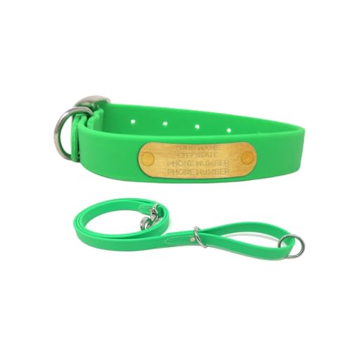 Regal Dog Products Small Light Green with Custom Engraved Waterproof Dog Collar and Leash Set | Waterproof Dog Collar with Double Buckle & D Ring - 5'ft Leash | Matching Dog Collar and Leash for Dogs - color: Light Green, size: Small Collar with leash