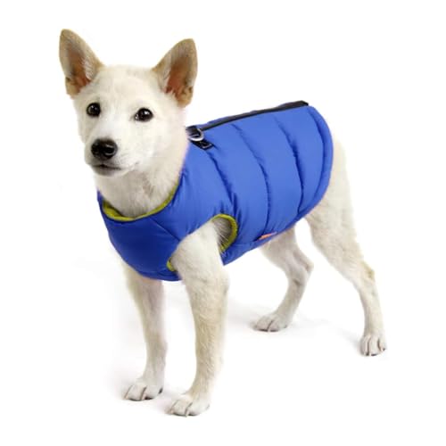 Gooby Padded Vest Dog Jacket - Solid Blue, Small - Warm Zip Up Vest Fleece Jacket with Dual D Ring Leash Water Resistant for Small to Medium Dogs - color: Blue Solid, size: Small