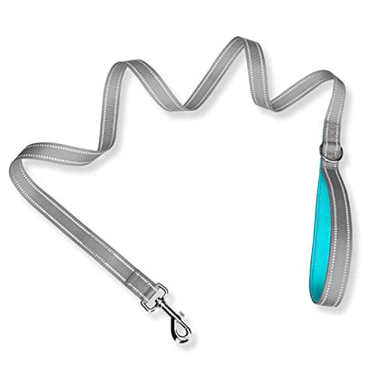 PHOEPET 5 Feet Dog Leash - Dual-Side Reflective - Soft Padded Handle - Fit for Walking, Training or Exploring Hiking, Camping (Grey + Mint Green Base) - color: Grey + Mint Green Base