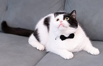 Cat Collar with Bow Tie Bell Breakaway Kitten Small Pet Safety Solid Wedding Basic Pure Color Suede Soft Adjustable [3pcs] Black & Cream & Red - color: [3pcs] Black & Cream & Red
