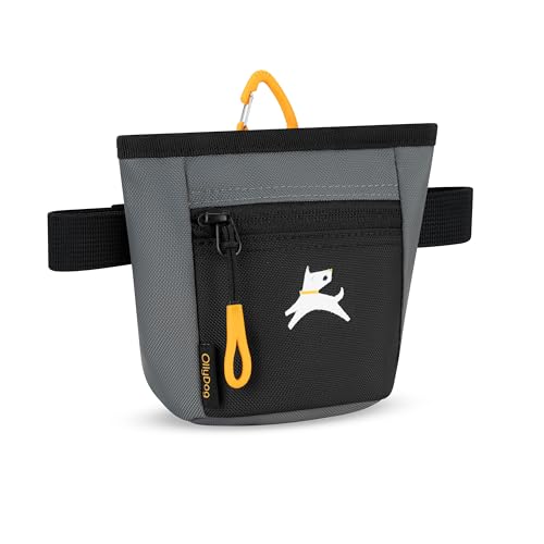 OllyDog Goodie Treat Bag, Dog Treat Pouch, Waist Belt Clip for Hands-Free Training, Magnetic Closure, Dog Training and Behavior Aids, Three Ways to Wear (Castle Rock) - color: Castle Rock