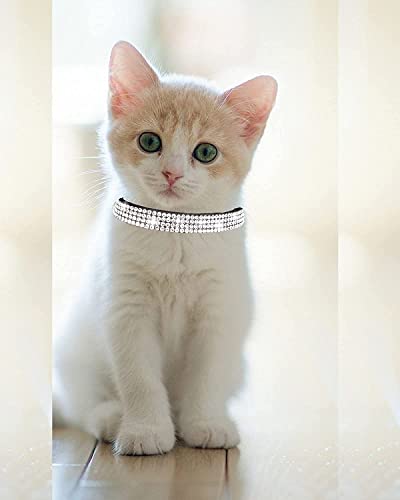 Breakaway Cat Collars with Bell,olmoony Adjustable Safe Kitten Collar,Cat Collars for Girl Cats with Rhinestone Soft Velvet - color: Black