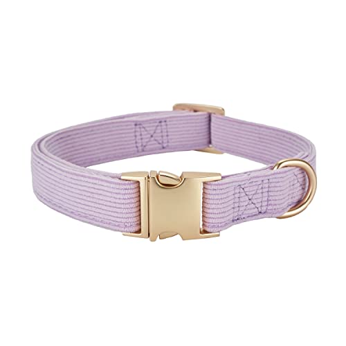 Soft Corduroy Fibric Dog Collar with High Grade Metal Buckle, for Medium Dogs.(Purple,Medium:12-19") - color: Purple, size: Medium
