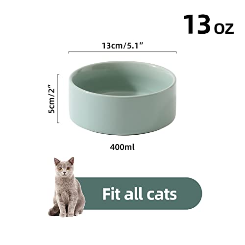 Havniva Cat Bowls Water Bowl Set of Two, 5.1” Ceramic Cat Food and Water Bowl Whisker Friendly Pet Food Bowls for Indoor Cats, Wide Cat Water Dish Prevent Whisker Fatigue Non Slip Cat Feeder - color: 2 x Bowl - Light Green