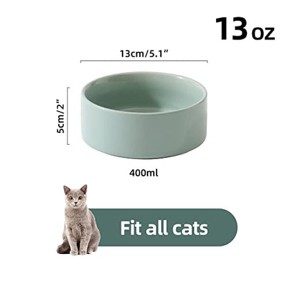 Havniva Cat Bowls Water Bowl Set of Two, 5.1” Ceramic Cat Food and Water Bowl Whisker Friendly Pet Food Bowls for Indoor Cats, Wide Cat Water Dish Prevent Whisker Fatigue Non Slip Cat Feeder - color: 2 x Bowl - Light Green