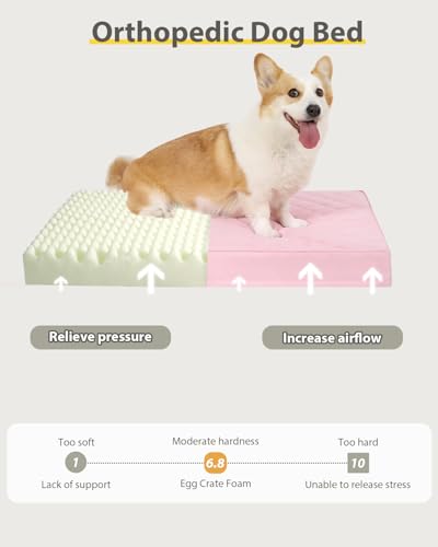 NUPIDA Orthopedic Dog Beds Large Sized Dog Waterproof Pet Kennel Pad with Removable Washable Cover and Non-Slip Bottom, 35x23 Inch, Pink - color: Pink, size: 35.0"L x 22.0"W x 3.0"Th