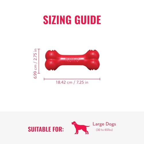 KONG Goodie Bone & Flyer - Dog Toys to Enrich Playtime - Dog Bone & Soft Throwing Disc Support Mental Engagement - Rubber Bone for Treats - Rubber Flying Disc with Dynamic Rebound - for Medium Dogs - size: Medium