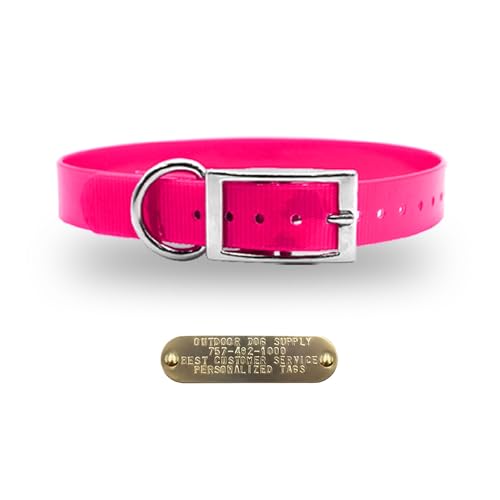 Outdoor Dog Supply 1" Heavy Duty Waterproof D-Ring Dog Collar for Medium & Large Dogs with Custom 3/4" Brass Nameplate (Pink, 21") - color: Pink, size: 21" Long
