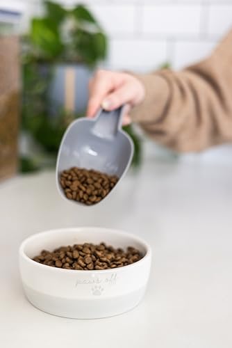 Pearhead Paws Off Ceramic Cat Bowl, Holds 1.3 Cups, Small Food and Water Bowl for Cats, Pet Dish, Microwave and Dishwasher Safe (Pack of 2) - color: Gray "Paws Off", size: Bowl Set