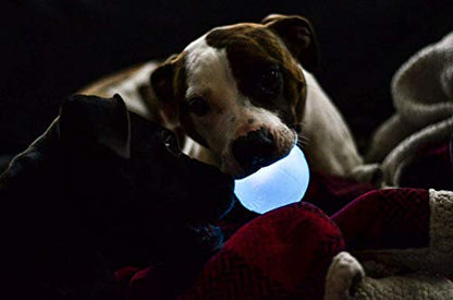 Outward Hound by Planet Dog Strobe Light Up LED Ball Dog Toy, Blue - color: Blue Strobe Toy