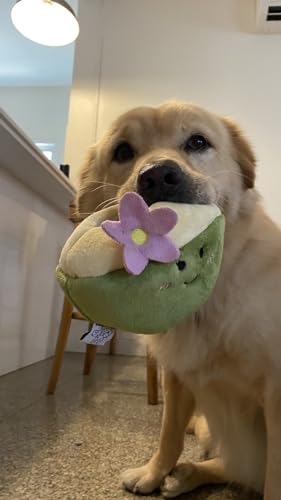 Plush Toys Coconut Hide and Seek Snuffle Toys for Dog and Cat Treat Puzzle Crinkle Toys