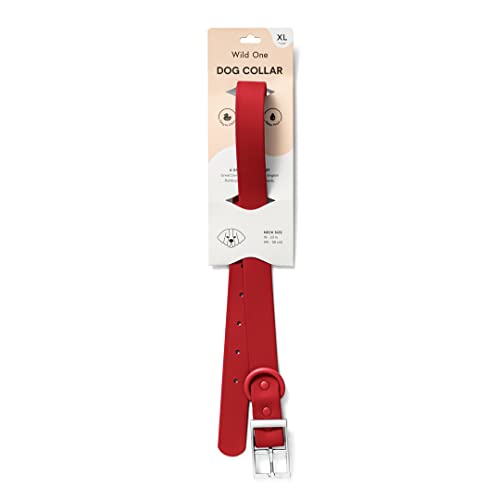 Wild One Dog Collar, Easy-Clean, All Weather Flex-Poly Strap with Metal, Durable, Dirt and Odor Resistant (Strawberry, XL) - color: Strawberry, size: XL