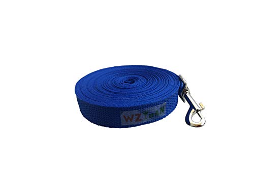 30ft Blue Nylon Pet Leash Training Lead (Blue) - color: Blue