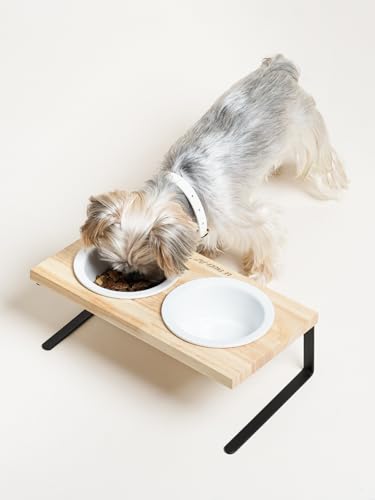 Elevated Dog Bowls, Raised Dog Bowl Stand with Two 5.1 inch Ceramic Bowls, Non-Slip Cat Food and Water Dish for Small and Medium Breed, White - color: White, size: 5.1inch