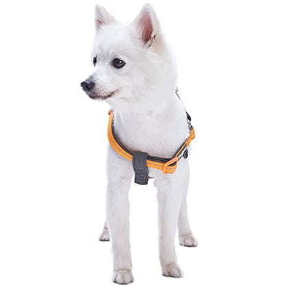 Blueberry Pet Soft & Comfy 3M Reflective Step-in Pastel Color Padded Dog Harness, Chest Girth 26" - 39", Orange Peel, Large, Adjustable Harnesses for Dogs