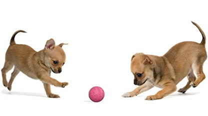 Snug Rubber Dog Balls for Small and Medium Dogs - Tennis Ball Size - Virtually Indestructible (3 Pack - Pink) - color: Pink