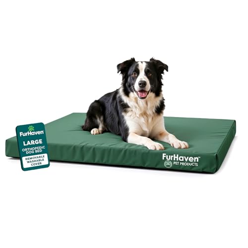 Furhaven Water-Resistant Orthopedic Dog Bed for Large/Medium Dogs w/ Removable Washable Cover, For Dogs Up to 55 lbs - Indoor/Outdoor Logo Print Oxford Polycanvas Mattress - Forest, Large - color: Water-Resistant Logo Print (Forest), size: Large
