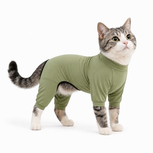 LoveLongLong Dog Jumpsuit with UV Protection and Quick-Dry Fabric for Spring Summer Pet Pajamas Light Green XS - color: Light green, size: XS (for small dogs)