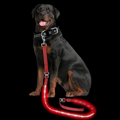 Light up Dog Leash for Night Walking - USB C Rechargeable - Waterproof - Dog Leash with Flashlight - LED Leashes for Dogs - 6Ft, Red - color: Red