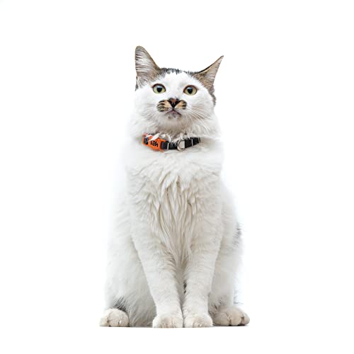 Breakaway Cat Collar – Stylish & Safe Adjustable Kitten Collar Breakaway – Cute Cat Collar for Kittens & Cats – Soft Pet Collar for Girls & Boys – Cat Accessories (Eclipse) - color: Eclipse