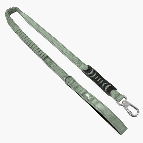 Dog Friendly Co. Bungee Dog Leash | Strain Free & Shock Resistant for Control | Neoprene Padded Handle, Heavy-Duty Carabiner Clip, and D-Ring | Khaki, Size Small - color: Khaki, size: Small