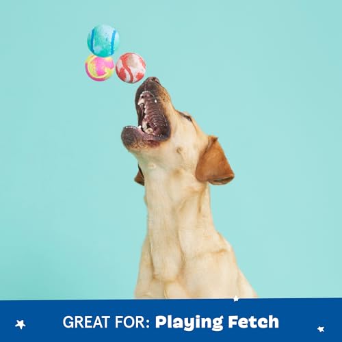 Barkbox Dog Toys – Squeaky Clean Bath Bombs Squeaker Ball Interactive Chew Toys – Durable & Tough Tennis Balls, Training, Exercise & Beating Boredom – Stimulating Plush, Small/Medium Breed & Puppies - color: Squeaky Clean