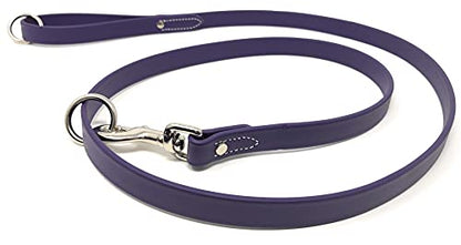 Regal Dog Products Waterproof Leash – 5 ft. Purple Dog Leash with Easy to Use Collar Hook, Lightweight, and Proof Training Pet Lead with Vinyl-Coated Webbing for Small, Medium, Large, or XL Dogs - color: Purple