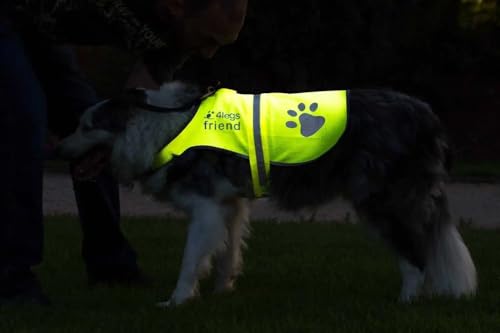 Safety Reflective Vest for Dogs - High Visibility for Outdoor Activity Day and Night, Protect Your Pet from Cars & Hunting Accidents - size: XL